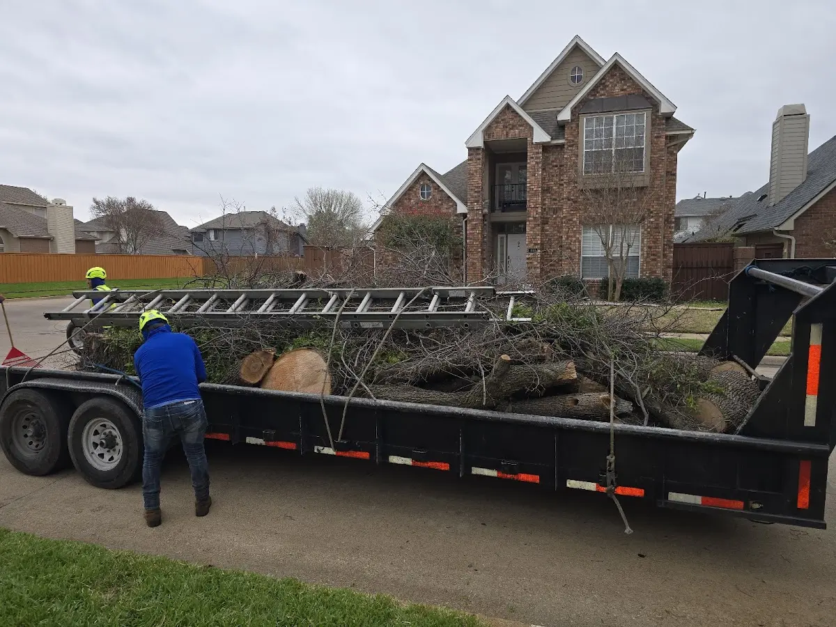 Expert Tree Pest Control with proper safety equipment in Clarkton